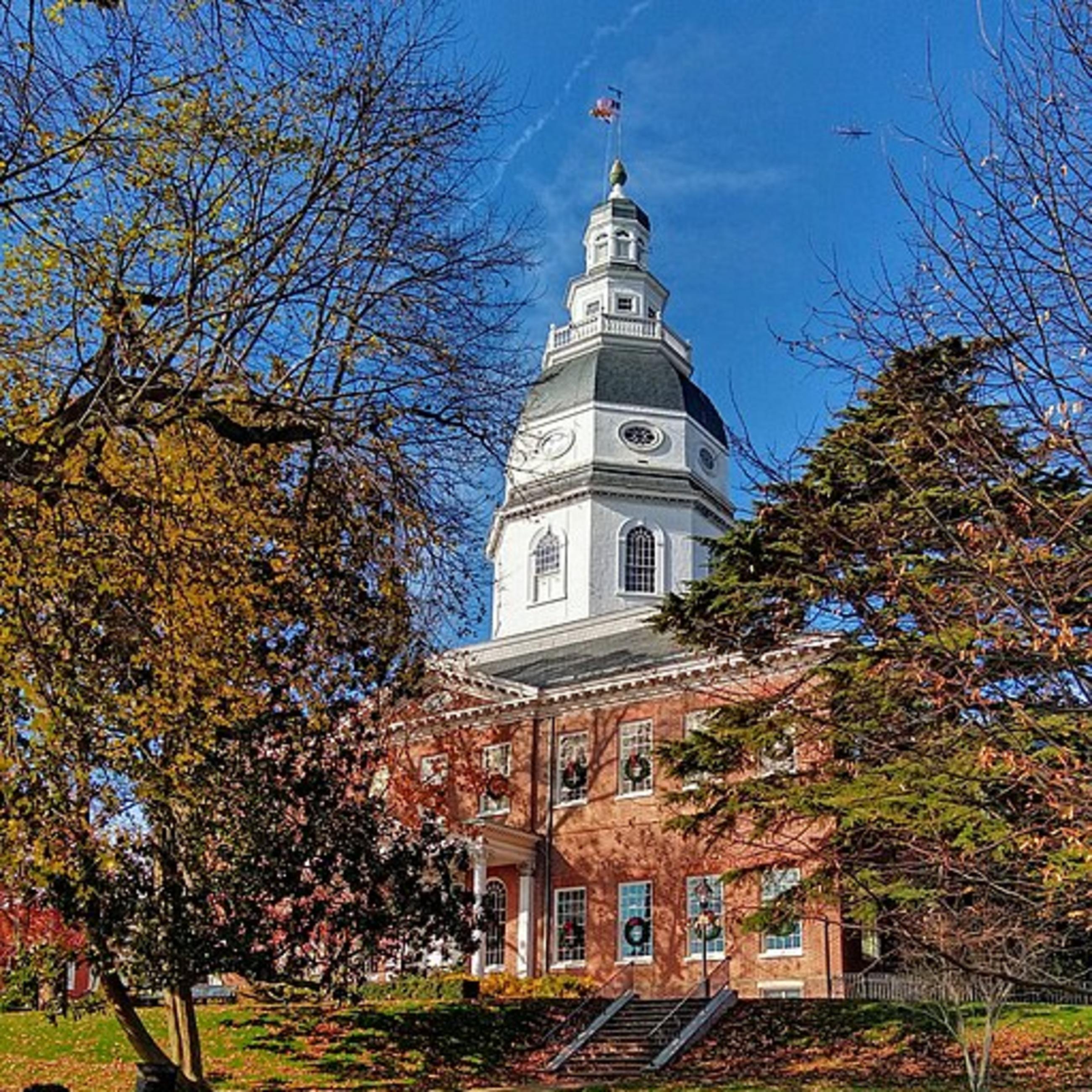 5120825-1728322537624-dc4816276c515.jpg